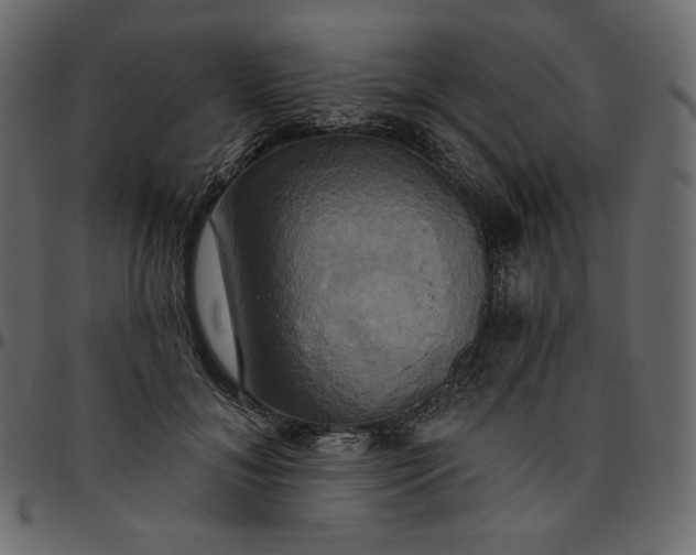 X0000095680700200801221226