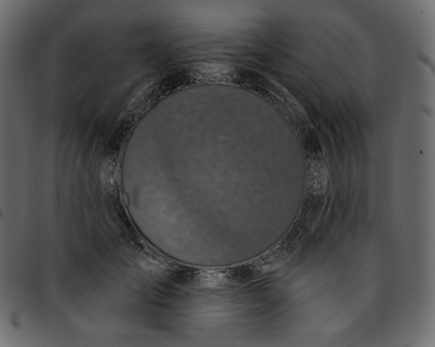 X0000095680701200801221226