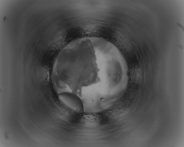 X0000095680703200801221226