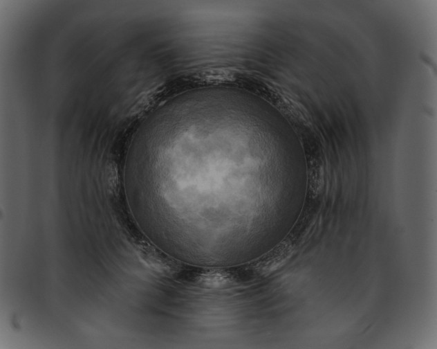 X0000095680704200801221226