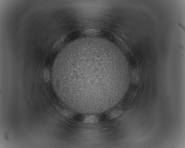 X0000095680705200801221226
