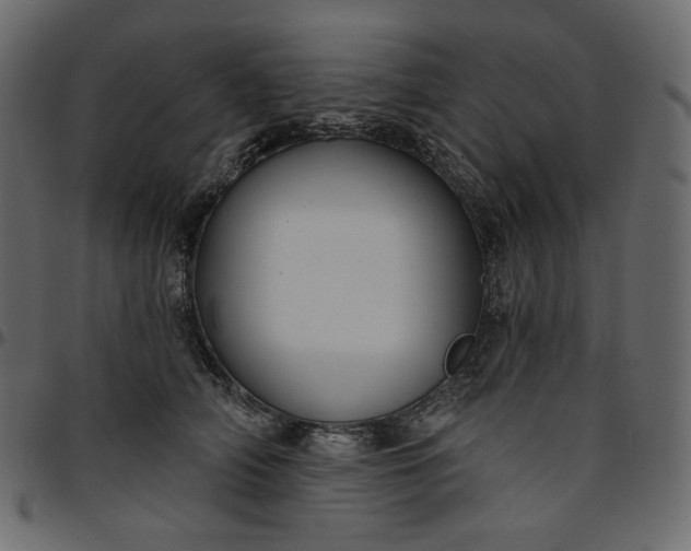 X0000095680706200801221226
