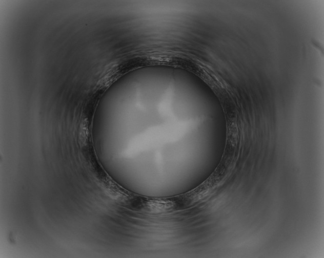 X0000095680707200801221226