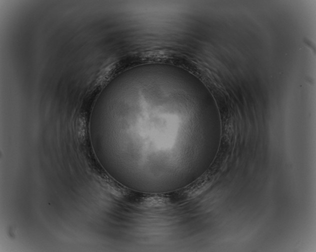 X0000095680708200801221226