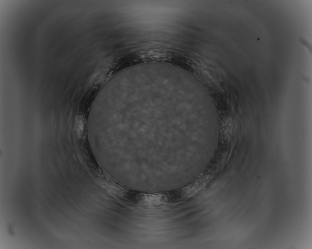 X0000095680709200801221226