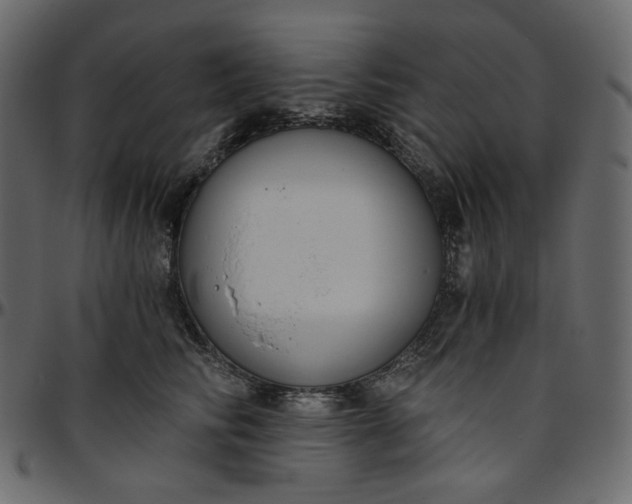 X0000095680710200801221226