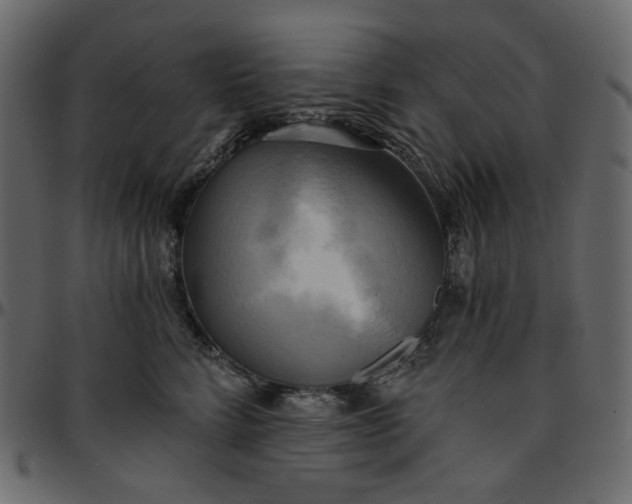 X0000095680712200801221226