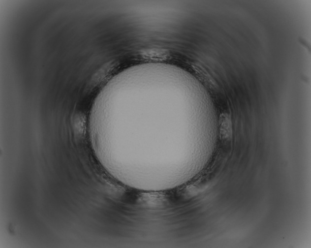X0000095680713200801221226