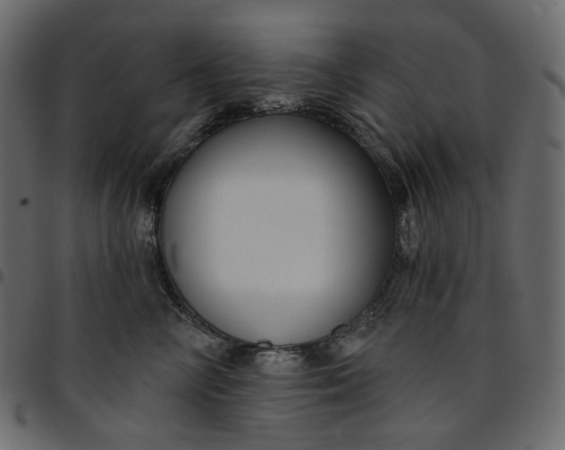 X0000095680714200801221226
