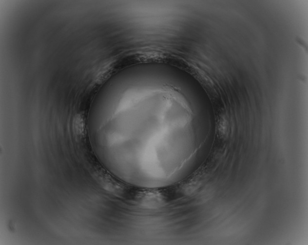 X0000095680715200801221226