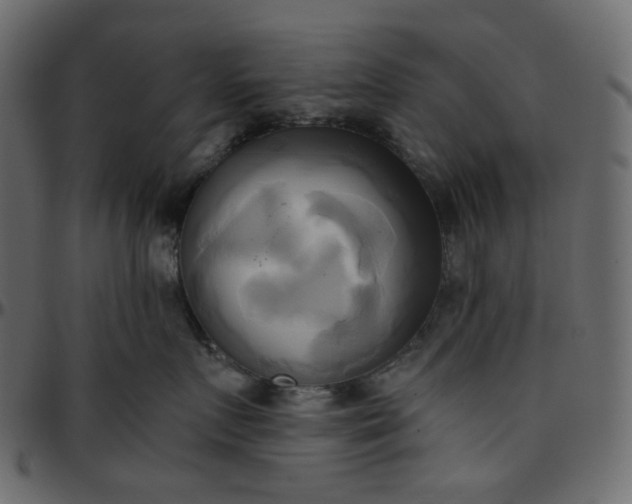 X0000095680719200801221226