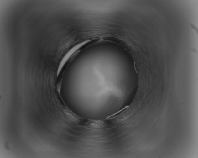 X0000095680720200801221226