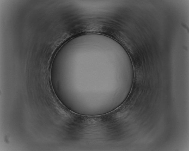 X0000095680721200801221225