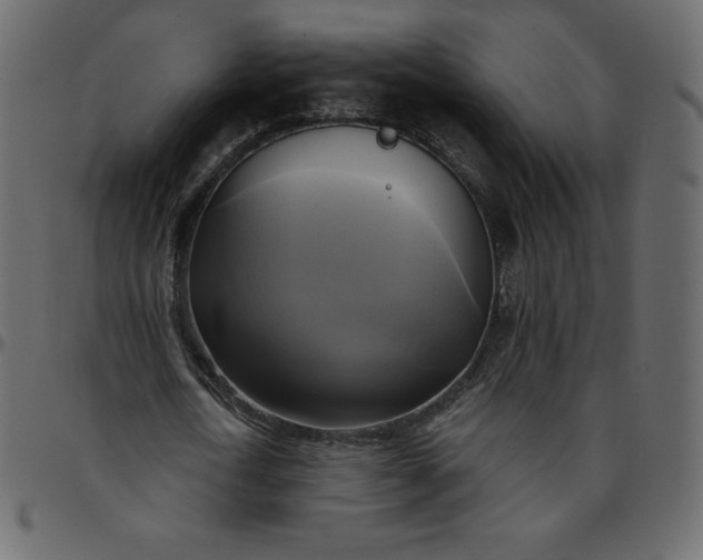 X0000095680722200801221225