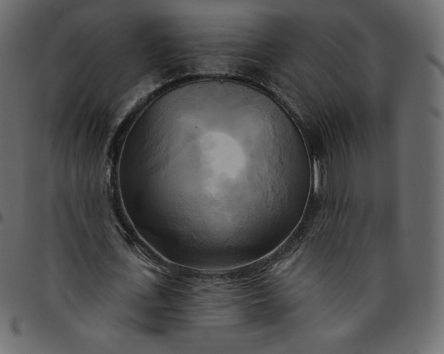 X0000095680723200801221225