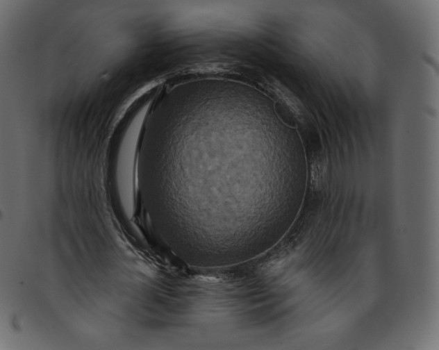 X0000095680724200801221225