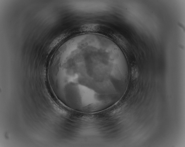 X0000095680725200801221225