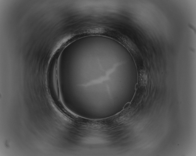 X0000095680726200801221225