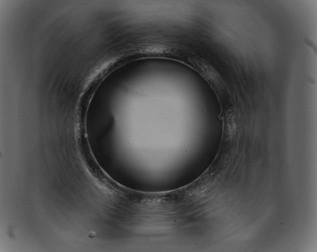 X0000095680728200801221225