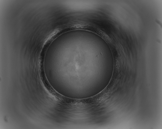 X0000095680730200801221225