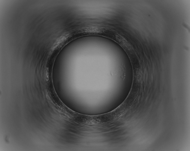 X0000095680731200801221225