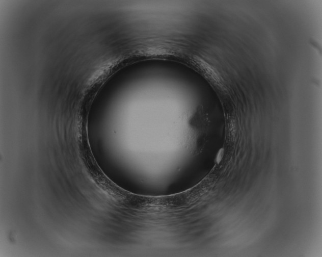 X0000095680732200801221225