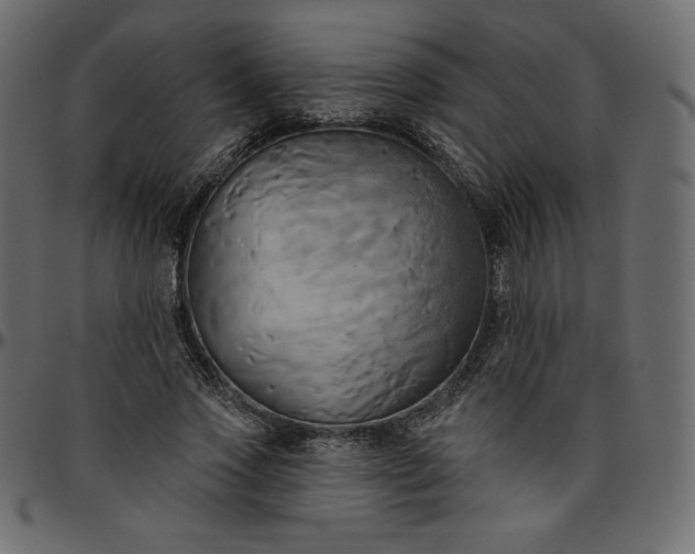 X0000095680733200801221225