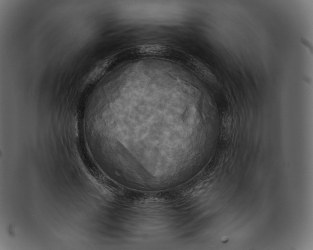 X0000095680734200801221225