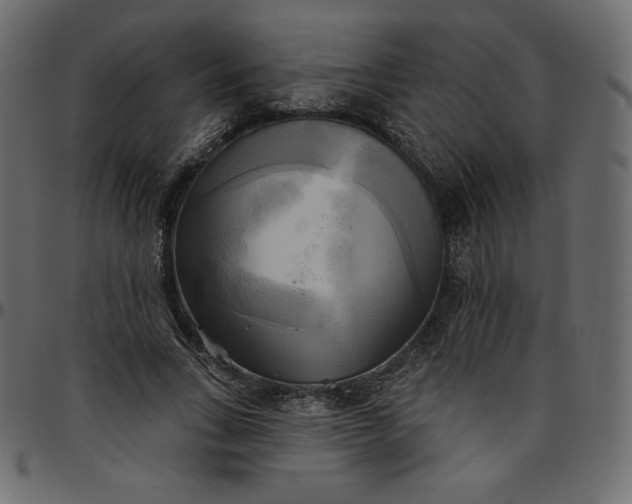 X0000095680735200801221225