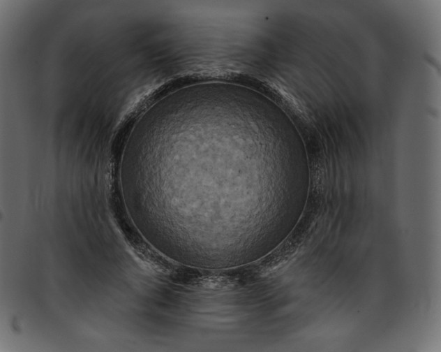 X0000095680736200801221225
