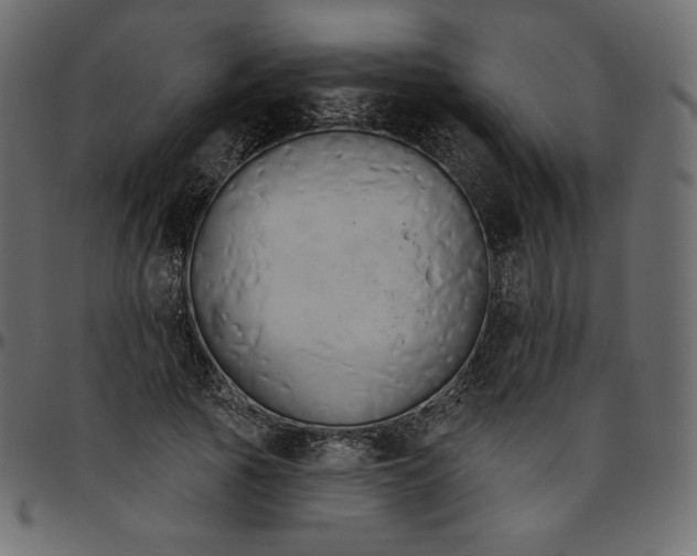 X0000095680737200801221225