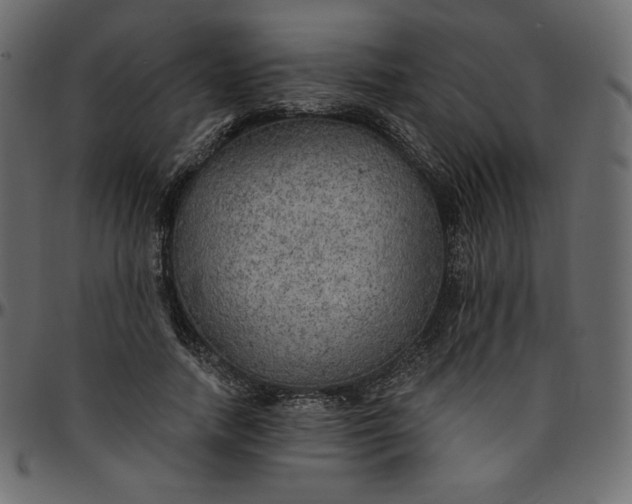 X0000095680738200801221225