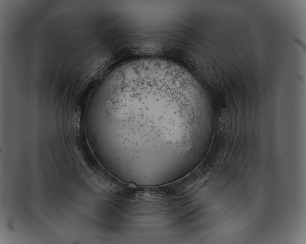 X0000095680739200801221225