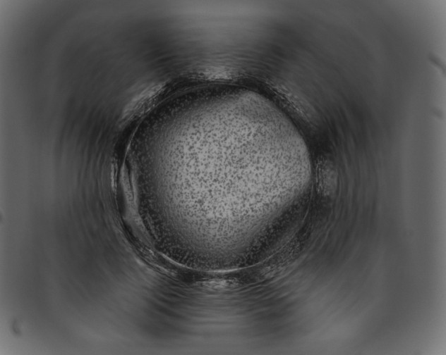 X0000095680740200801221225
