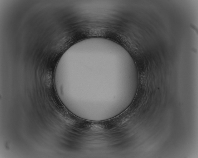 X0000095680741200801221225