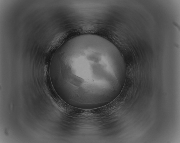 X0000095680742200801221225
