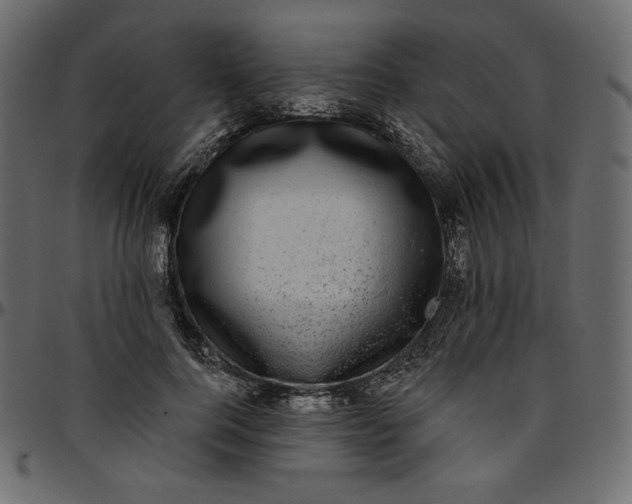 X0000095680744200801221225