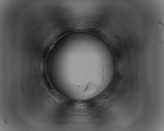 X0000095680746200801221225