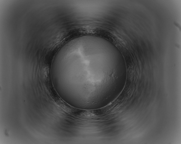 X0000095680747200801221225