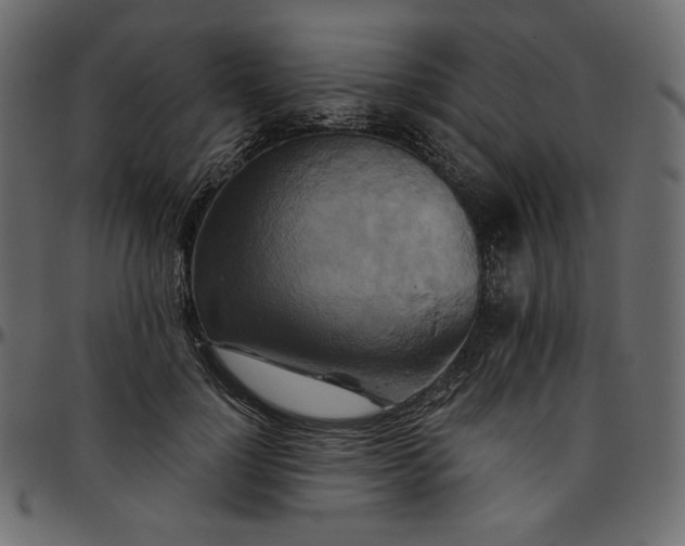 X0000095680748200801221225