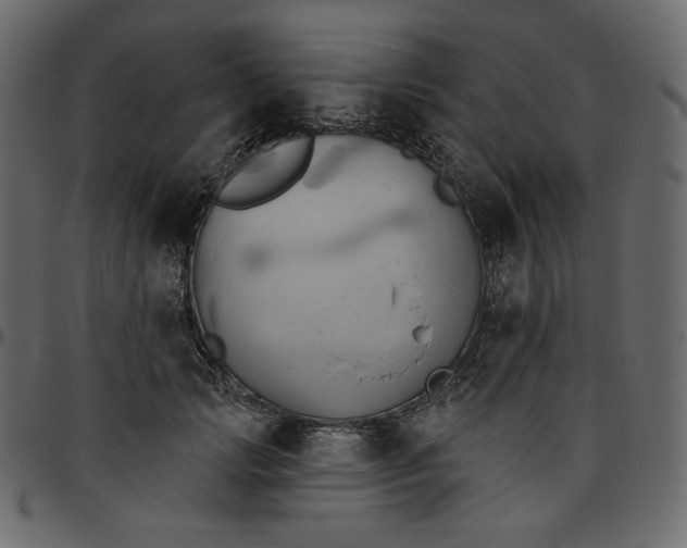 X0000095680749200801221225