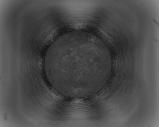 X0000095680750200801221225
