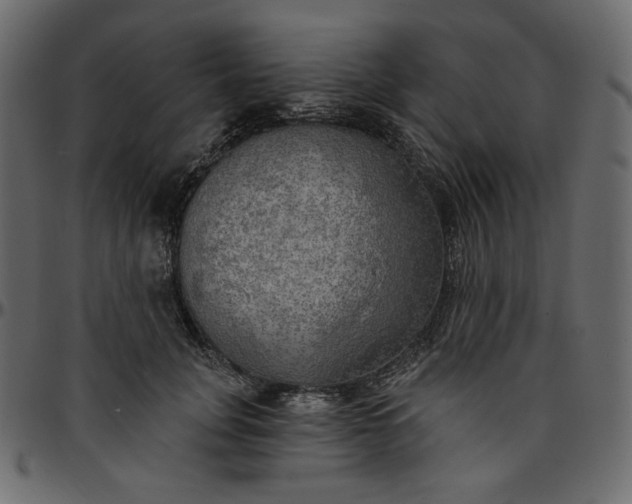 X0000095680751200801221225
