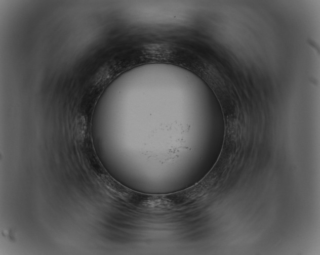 X0000095680752200801221225