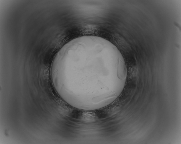 X0000095680753200801221225