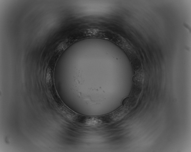 X0000095680754200801221225
