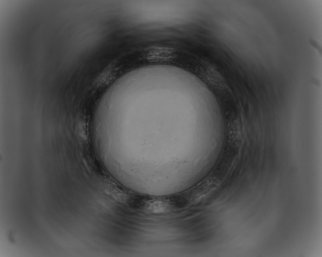 X0000095680755200801221225