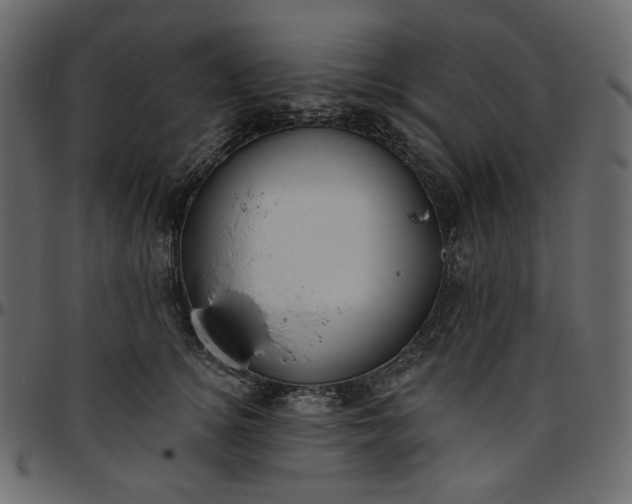 X0000095680756200801221225