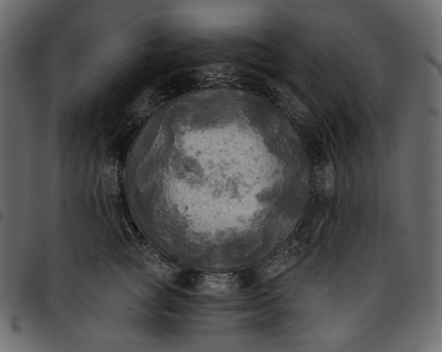 X0000095680757200801221225