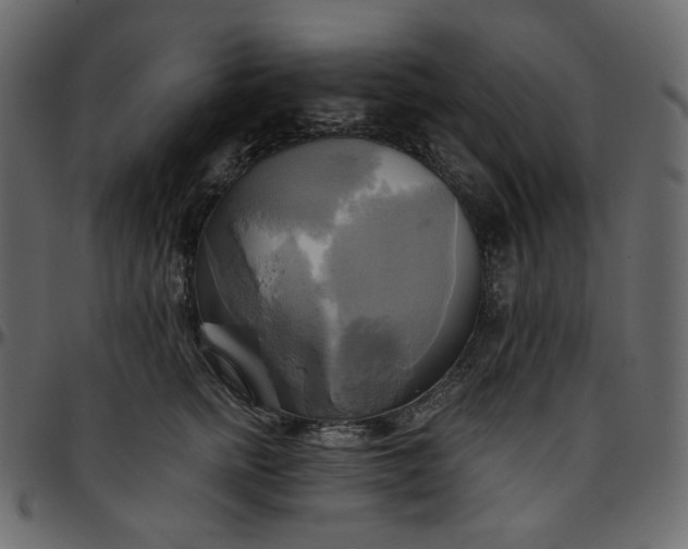 X0000095680758200801221225